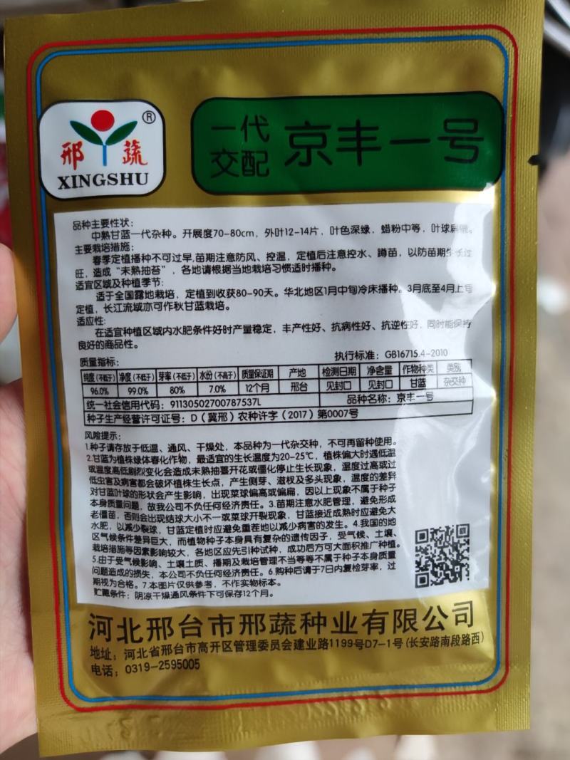 京丰一号甘蓝种子，10克