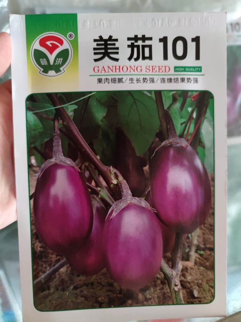 美茄101茄子种子，1000粒，卵圆形，紫红色