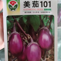 美茄101茄子种子，1000粒，卵圆形，紫红色