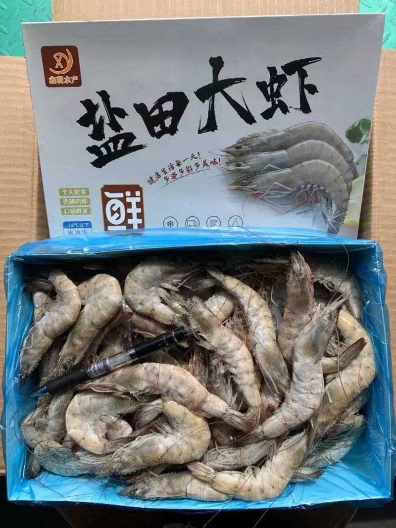 盐田大虾，鲜活速冻，品质保证，欢迎订购品质保证