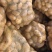 【热销】小土豆淀粉薯，土豆，无腐烂，