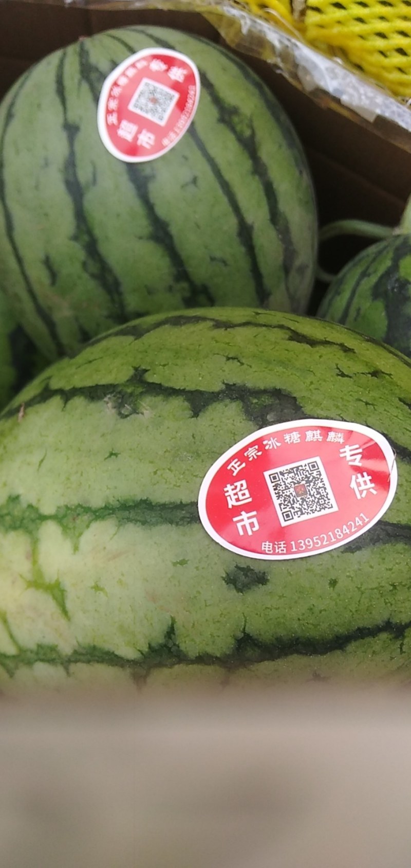 美都，甘美皇，8424大量接单，全部东台西瓜