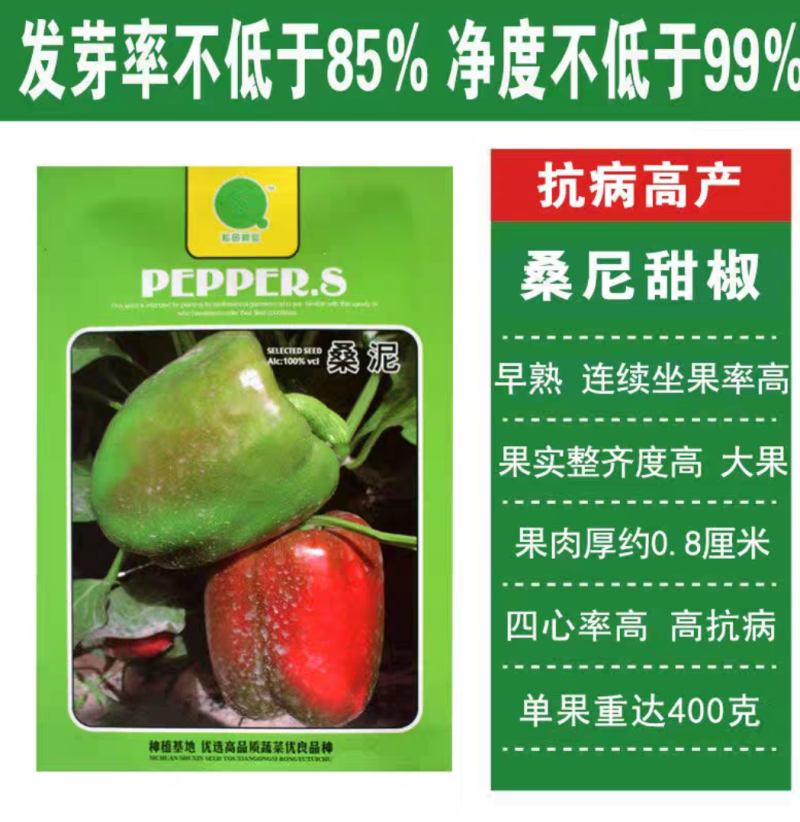 紫霞辣椒种子耐低温鲜果紫色囗感好亩产6000斤抗病性强