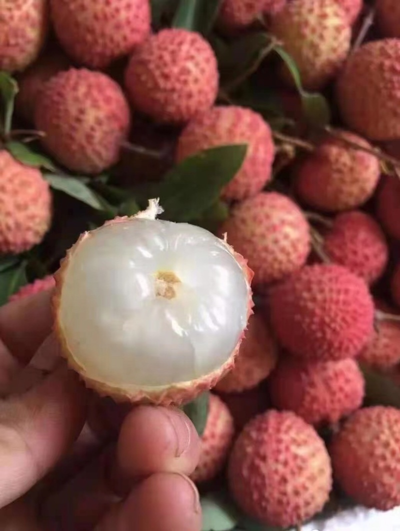 荔枝