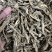 【地骨皮】正品货无枝皮包含量净货文斌药业批发零售