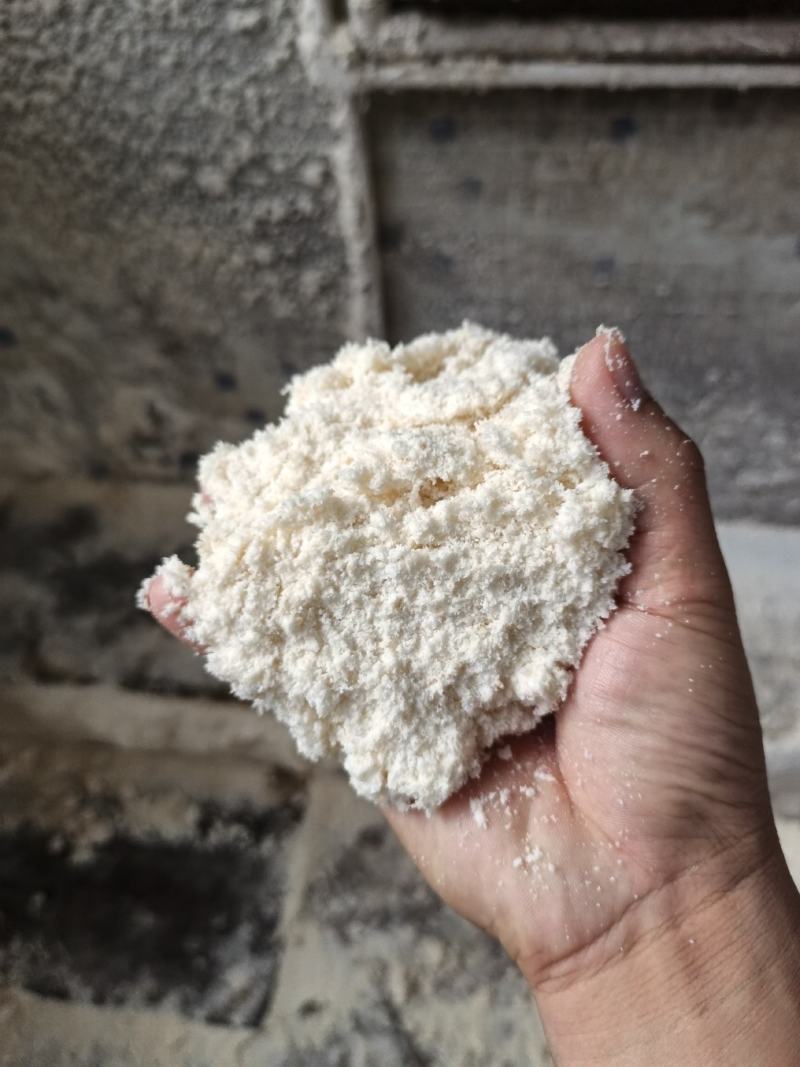 广东豆渣