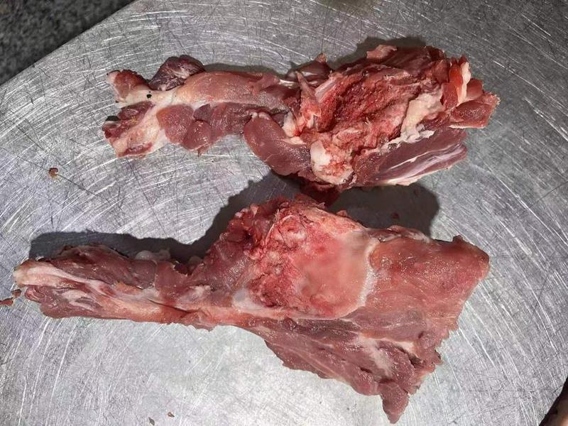 吉林长春打膘白条猪肉保质保量，常年供货，视频看货详谈
