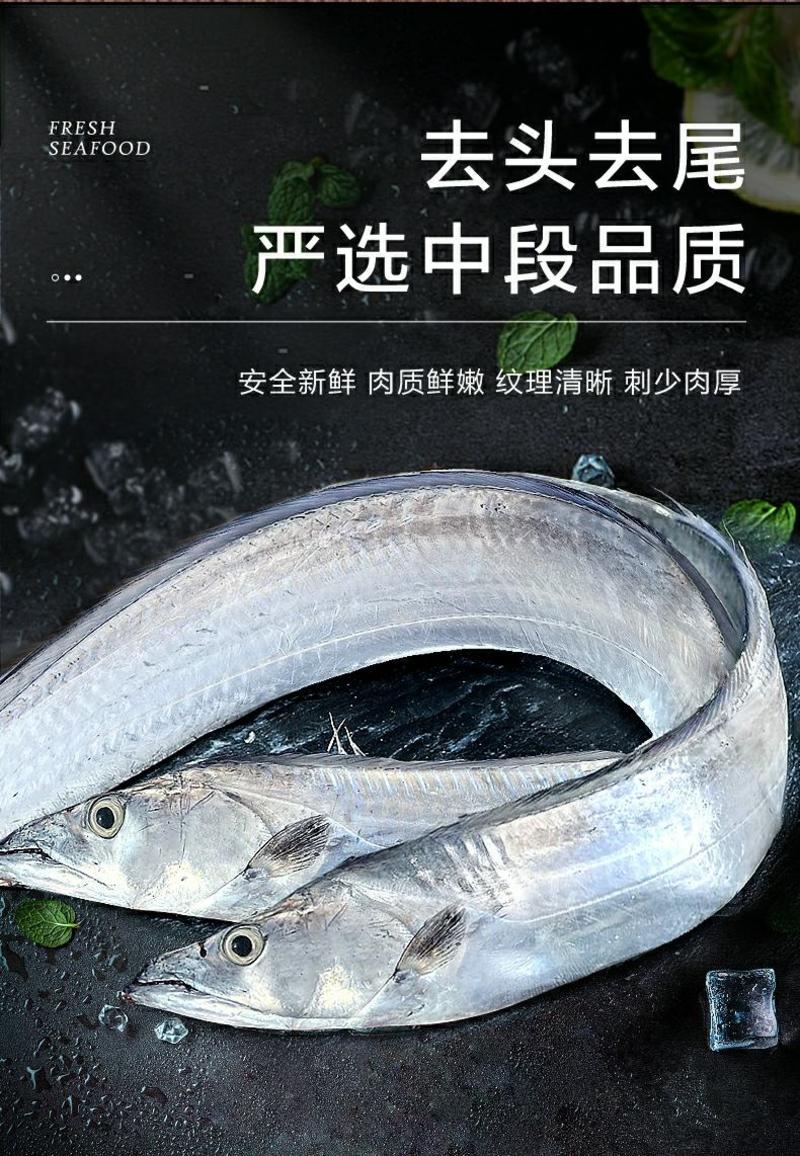 东海带鱼舟山带鱼精品带鱼段产地直销大型批发商采购更优惠