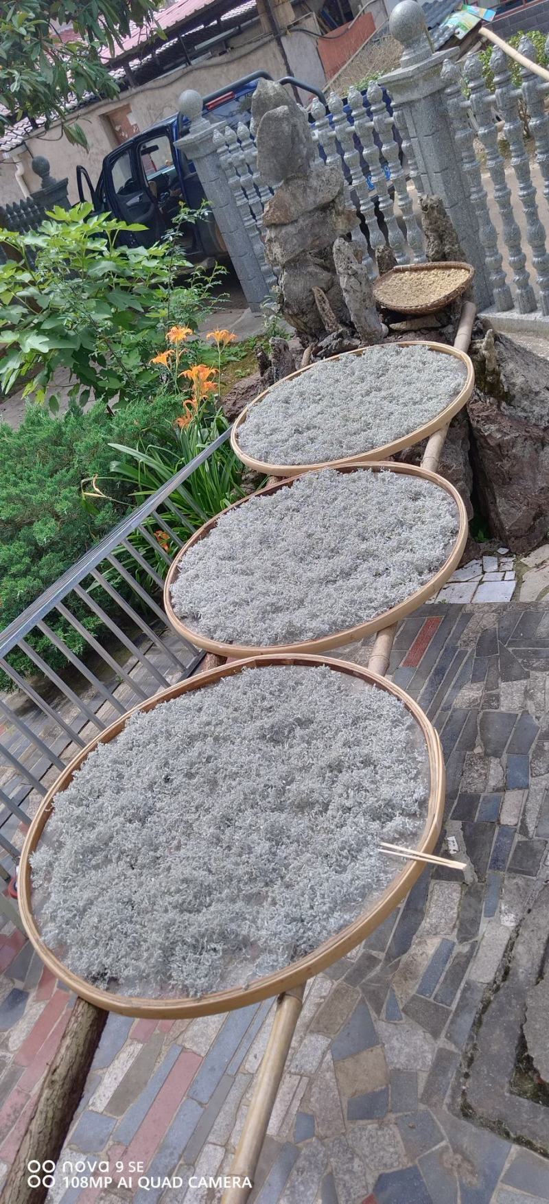 大家好我是卖张家界莓茶的，我们这边是自产自销的没有中间。