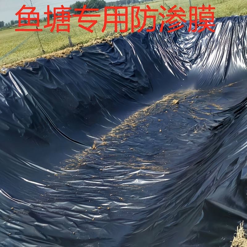 🔥黑色防渗膜鱼塘鱼池防水膜水产养殖藕池膜土工膜