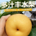 大量供应丰水梨，可一件代发，可对接全国电商，批发市场