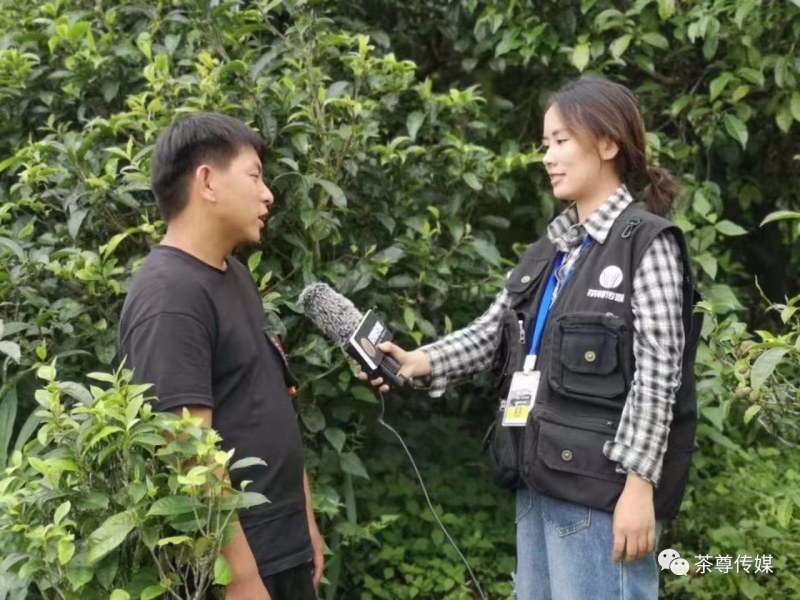 云南临沧……红菇。中药材马比木
