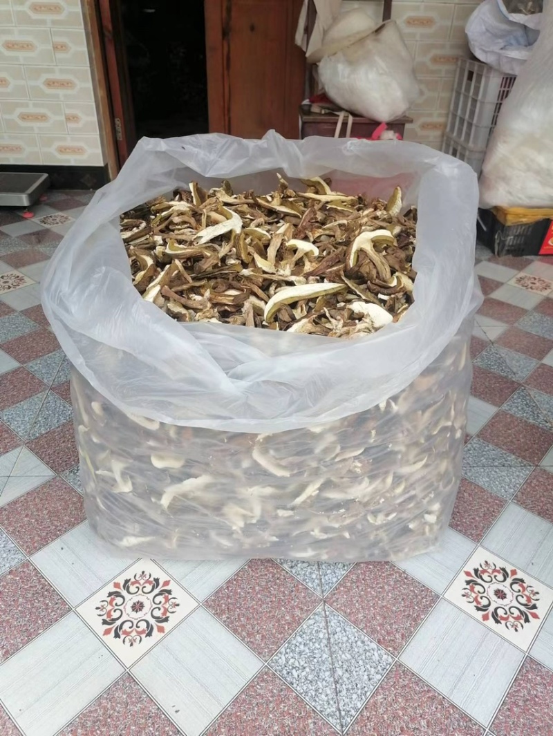 牛肝菌、红葱菌需要的老板可以看看大量有货联系我呦