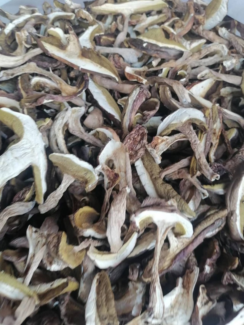 牛肝菌、红葱菌需要的老板可以看看大量有货联系我呦