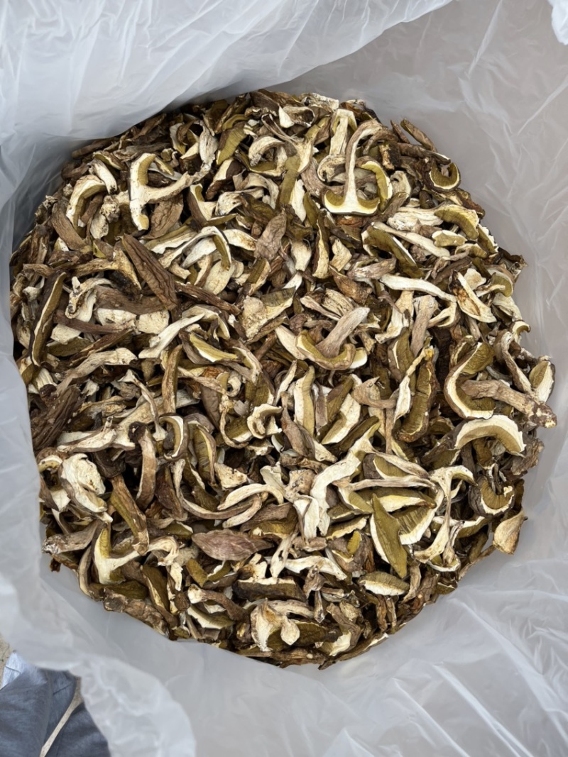 牛肝菌、红葱菌需要的老板可以看看大量有货联系我呦
