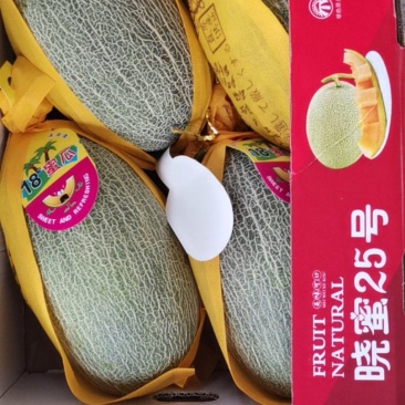 陕西西州蜜/哈密瓜/小蜜25～产地直销，/代发全国……