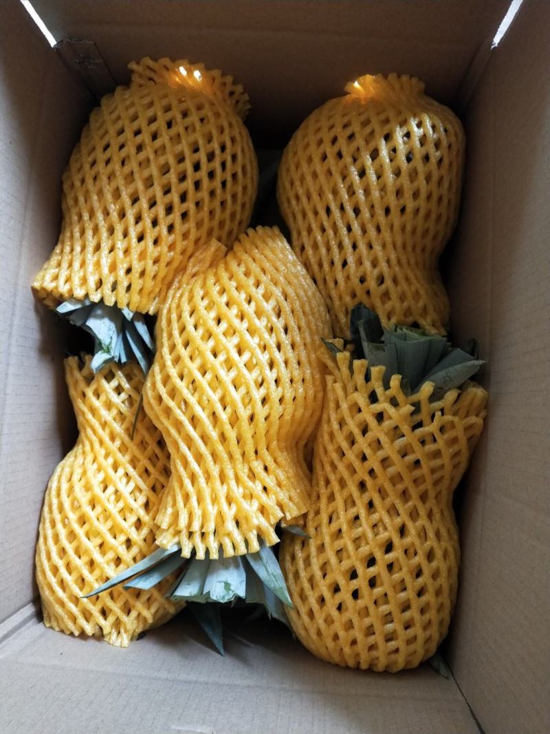 台农16号甜蜜蜜凤梨（菠萝），生态种植，口感甜脆！