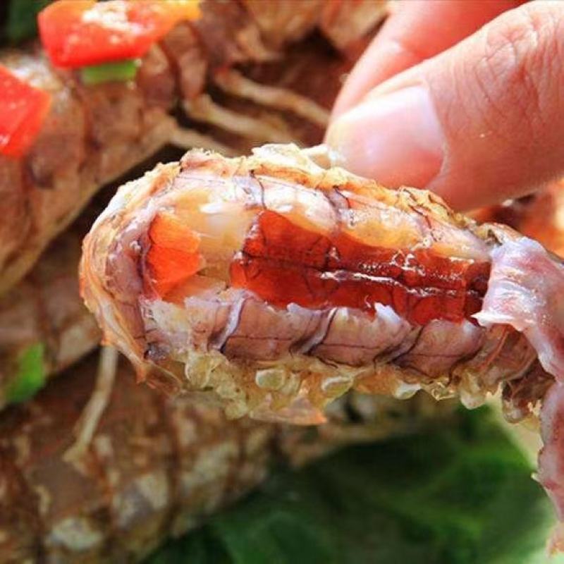 皮皮虾批发销售，厂家直销