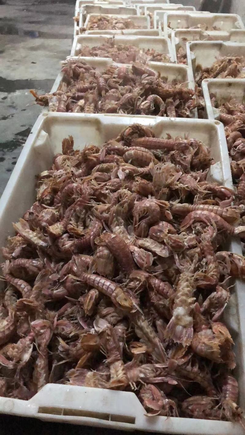 皮皮虾批发销售，厂家直销