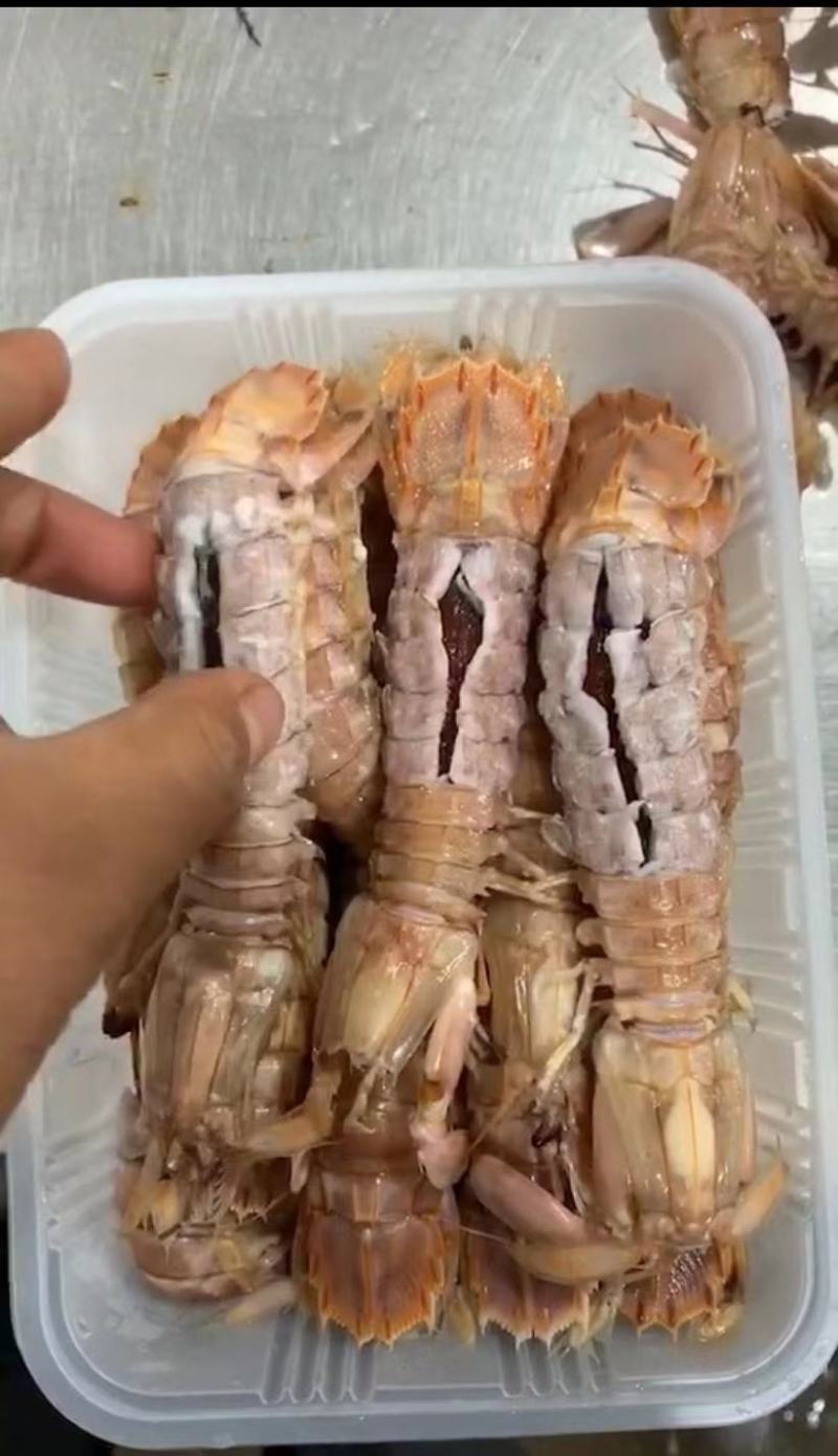 皮皮虾批发销售，厂家直销