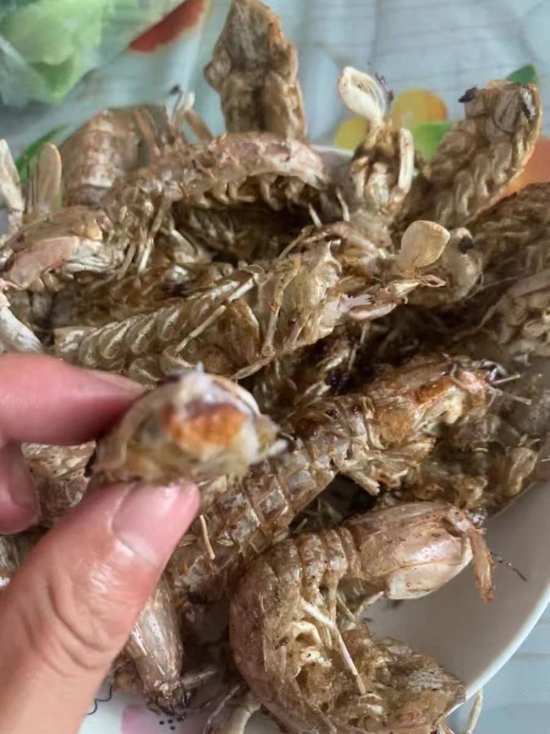 皮皮虾批发销售，厂家直销