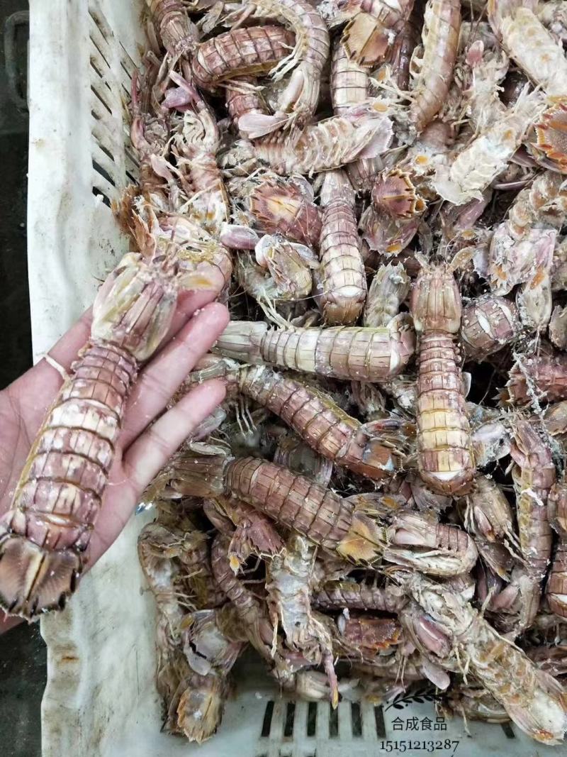 皮皮虾批发销售，厂家直销