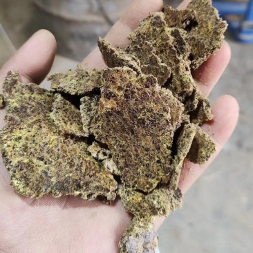 河北棉籽饼蛋白20%.灰分6