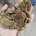 河北棉籽饼蛋白20%.灰分6