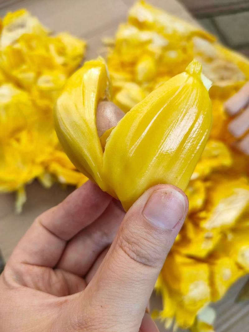 【推荐】菠萝蜜广东菠萝蜜果园直采量大优惠致电详谈