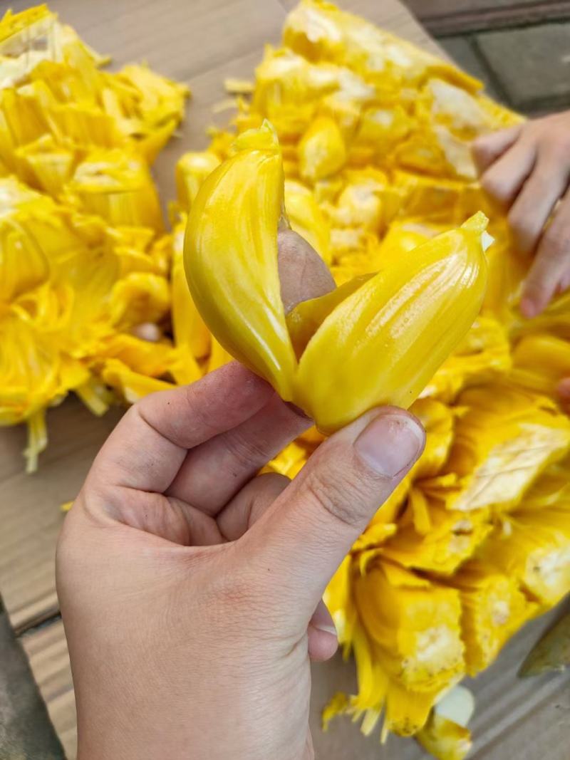 【推荐】菠萝蜜广东菠萝蜜果园直采量大优惠致电详谈