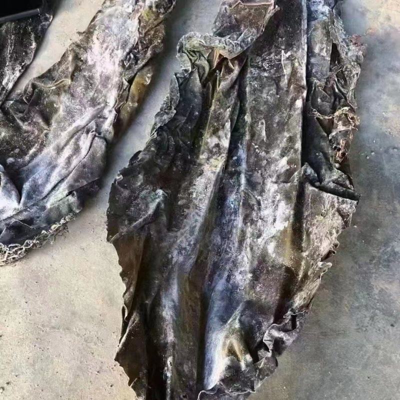 精品海带皮批发