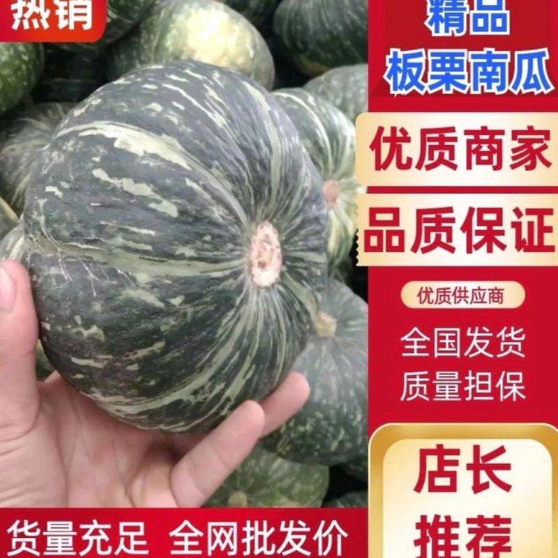 精选【板栗南瓜】河北饶阳精品南瓜直供电商加工厂等欢迎联系