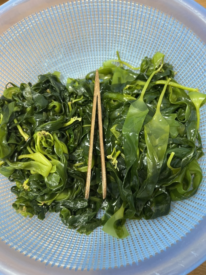 霞浦海带苗非干货新鲜小海带芽盐渍嫩苗凉拌火锅商用