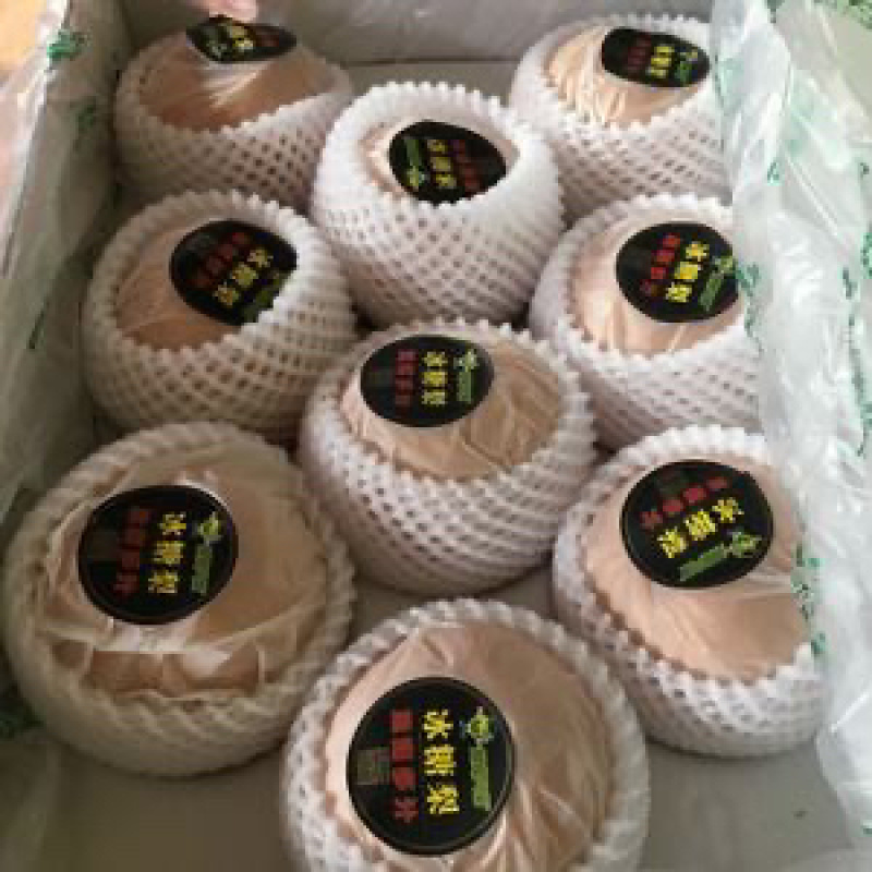 大量供应秋月梨，皮薄肉嫩多汁，产地直供，可代发全国各地
