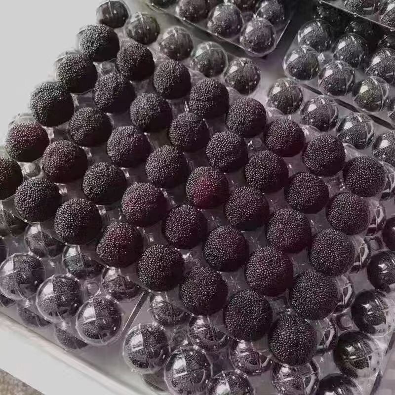 苏州东山乌紫杨梅，杨梅界的天花板