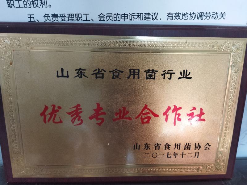 大量供应羊肚菌母种原种栽培种提前预定包教技术欢迎广大客户