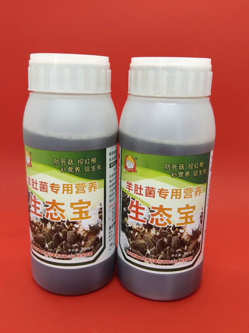 大量供应羊肚菌母种原种栽培种提前预定包教技术欢迎广大客户