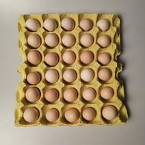 鸡场直发，当天新鲜蛋，农大三号初产粉壳土鸡蛋
