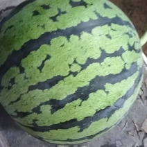 西瓜