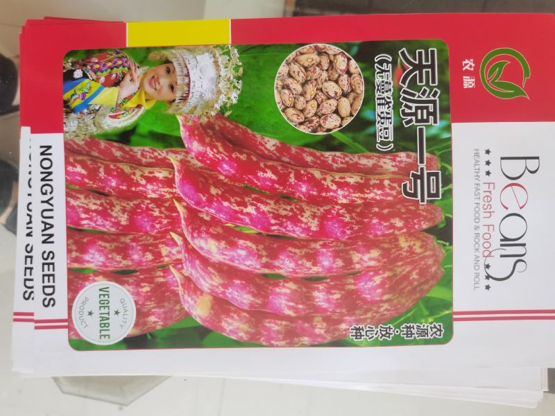 饭豆种子，食米豆，无蔓雀蛋豆，油豆，四季豆种，无蔓四季豆
