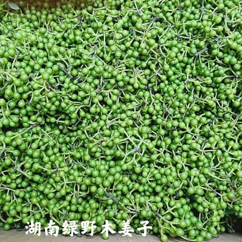 木姜子酱山胡椒酱山仓子酱批发量大价优