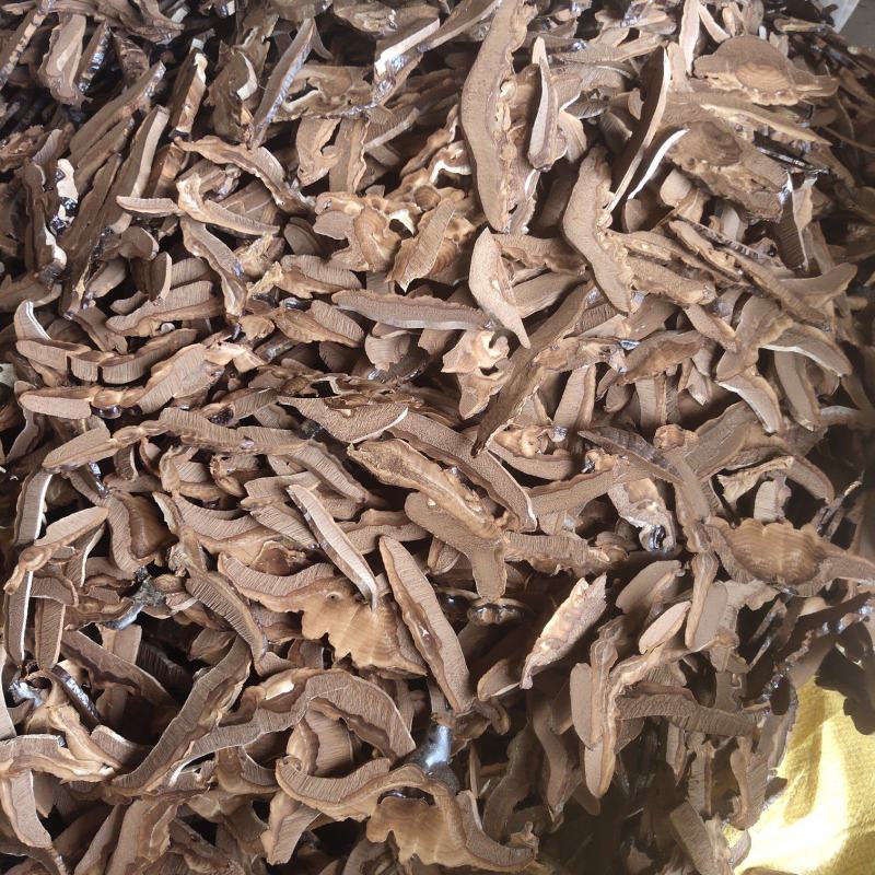 紫灵芝片精品量大优惠