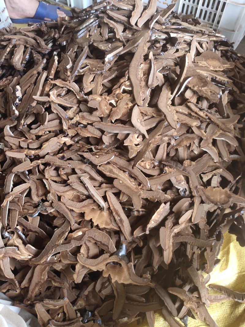 紫灵芝片精品量大优惠