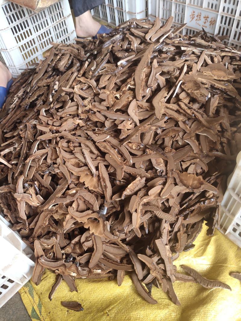 紫灵芝片精品量大优惠