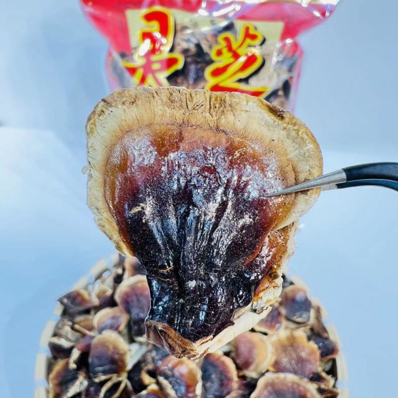 长白山金边灵芝自然晒干长白山金边灵芝煲汤泡酒炖肉