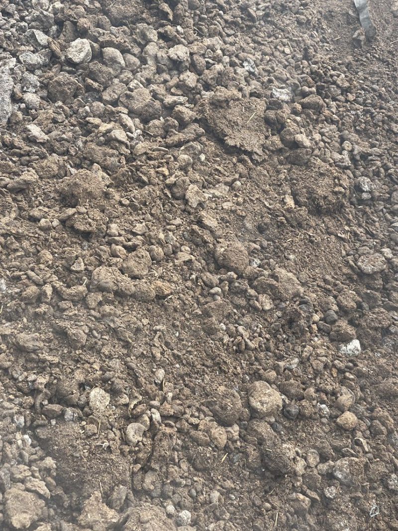 牛粪