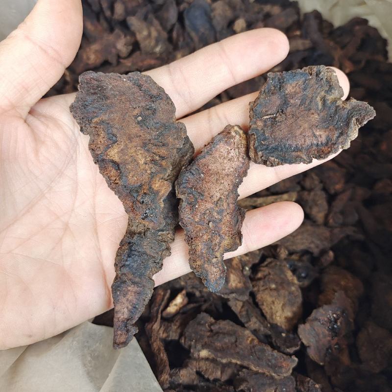生地黄生地切片统货产地河南省地道药材紫轩堂药业