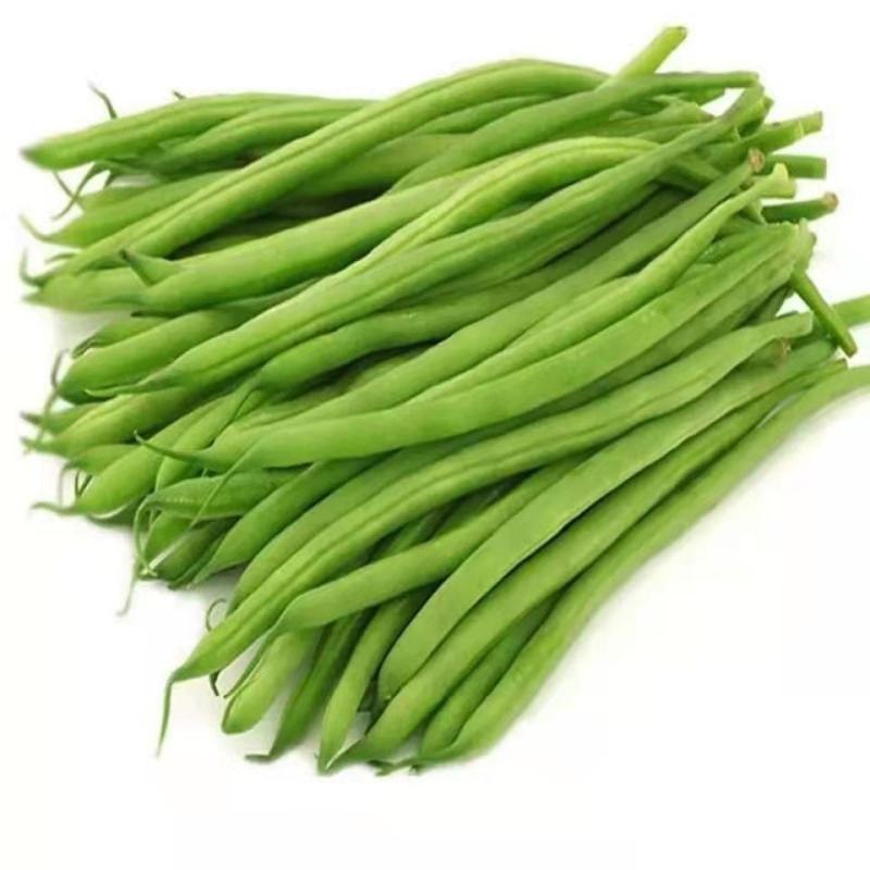 精品无筋四季豆百花四季豆，看货论价产地直发，质量保证