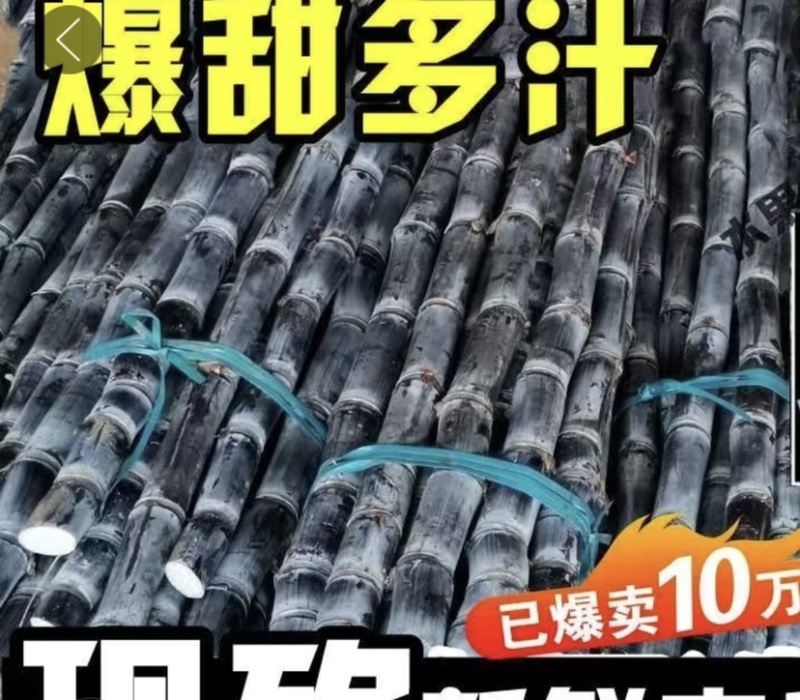 青皮甘蔗……潮州本地，包甜得（仅供应潮州附近城）