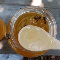 荔枝蜂蜜纯正农家自养无添加剂。